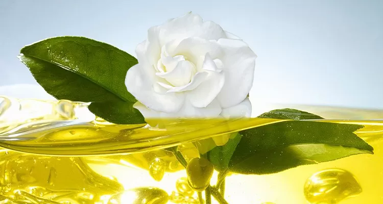 Green Tea image