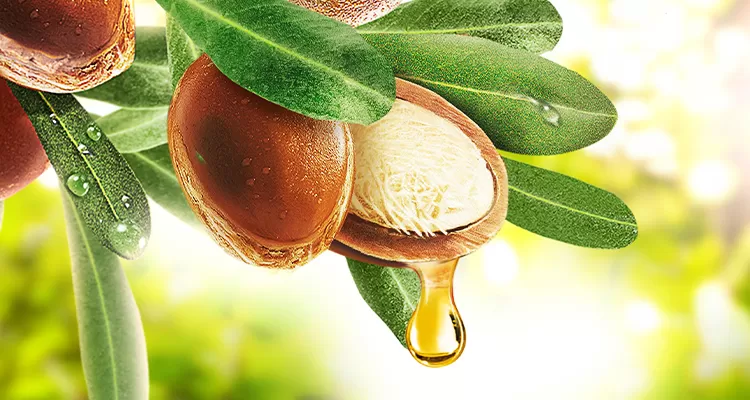 Shea Butter image